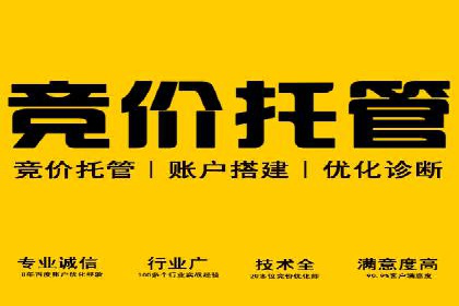 知名SEM公司案例分析：优化策略与成果